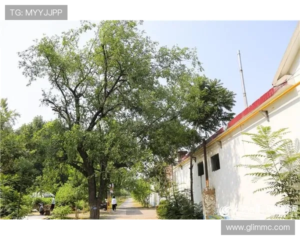 东营体育联赛官网（东营体育运动学校官网）sports